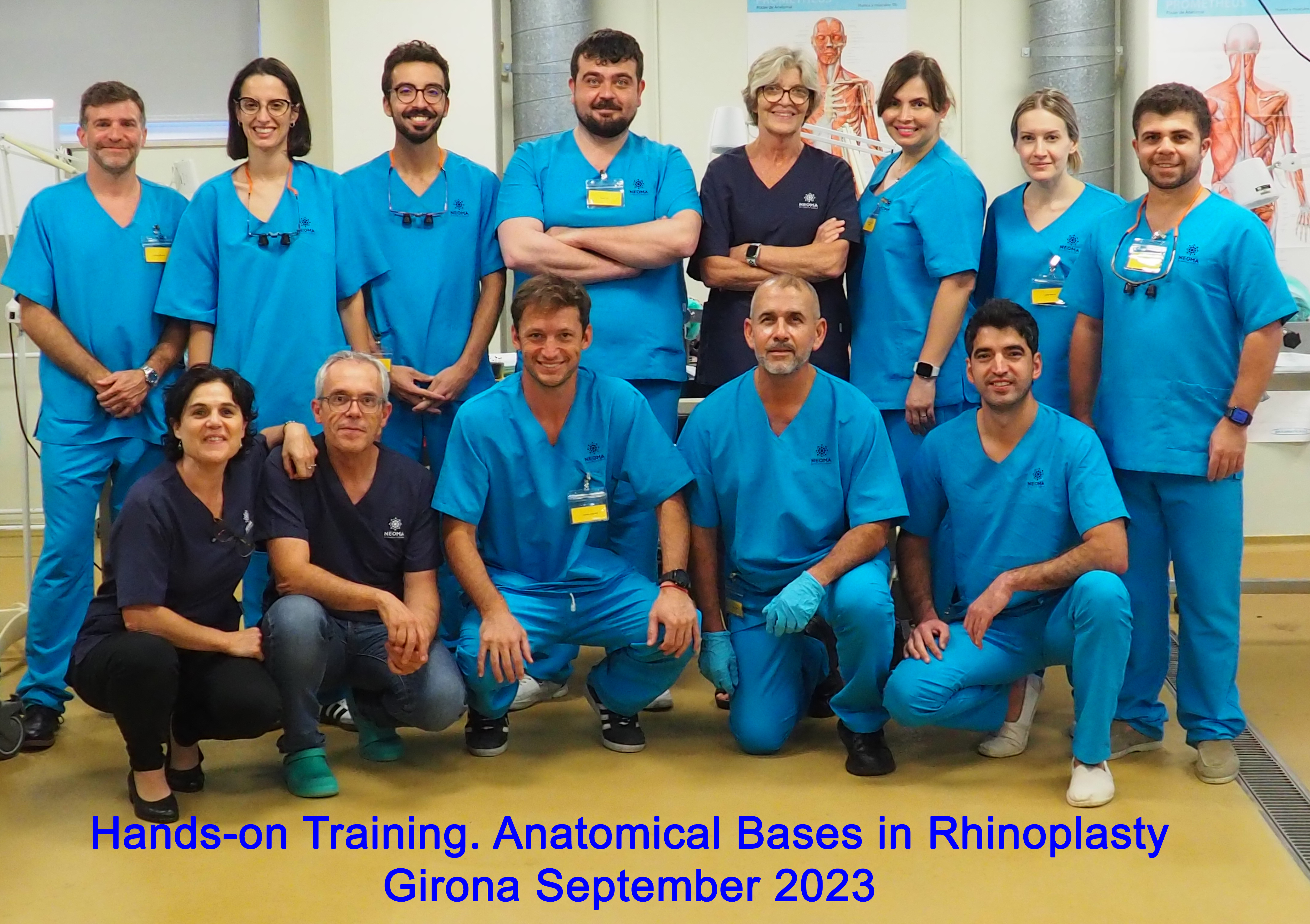 Anatomical bases in rhinoplasty 2023